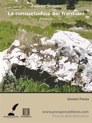 cover image of La consuetudine dei frantumi